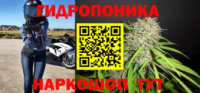 молекула духа Ливны