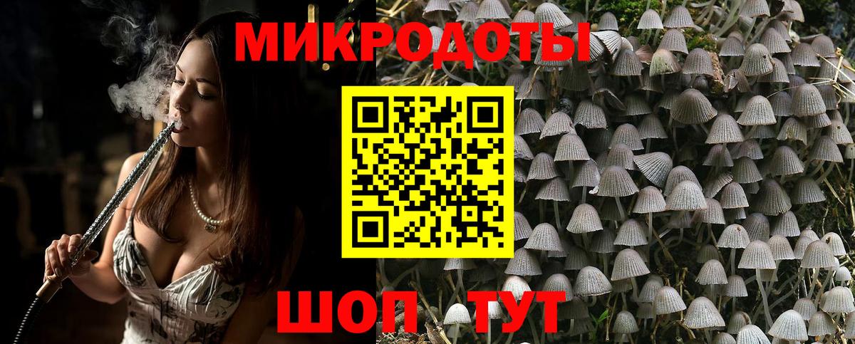Псилоцибиновые грибы мухоморы Дубна