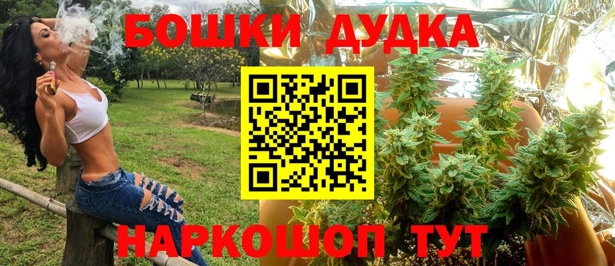 Бошки Шишки сатива  Марихуана сатива  Канабис MAZAR  Дубна  Вход с VPN  Конопля план 