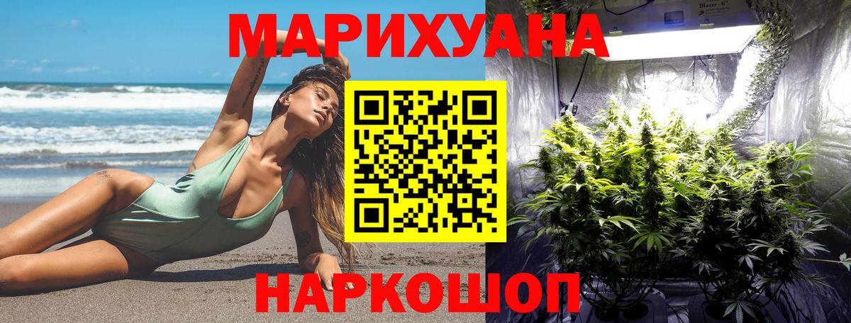 Бошки Шишки White Widow Дубна
